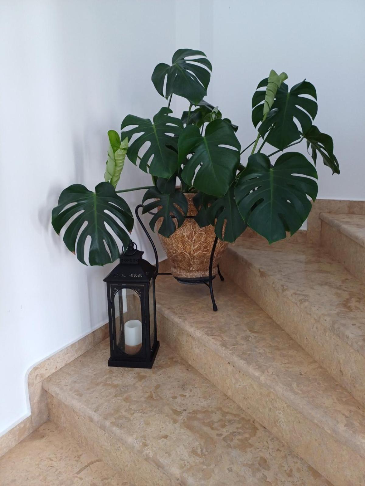 Luxury Apartment أمارنثوس المظهر الخارجي الصورة