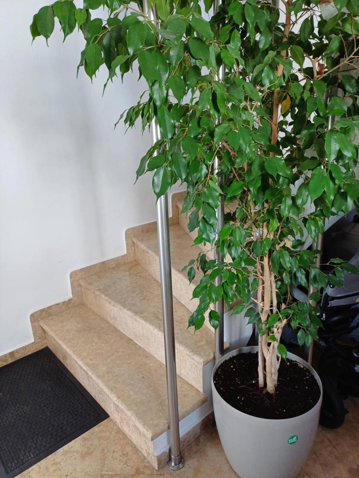Luxury Apartment أمارنثوس المظهر الخارجي الصورة